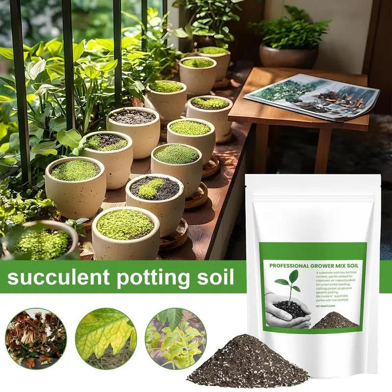다육식물 흙 혼합토 통기성 분재 흙 휴대용 용품 가정용 - Us Bonsai Garden 리뷰 및 가격