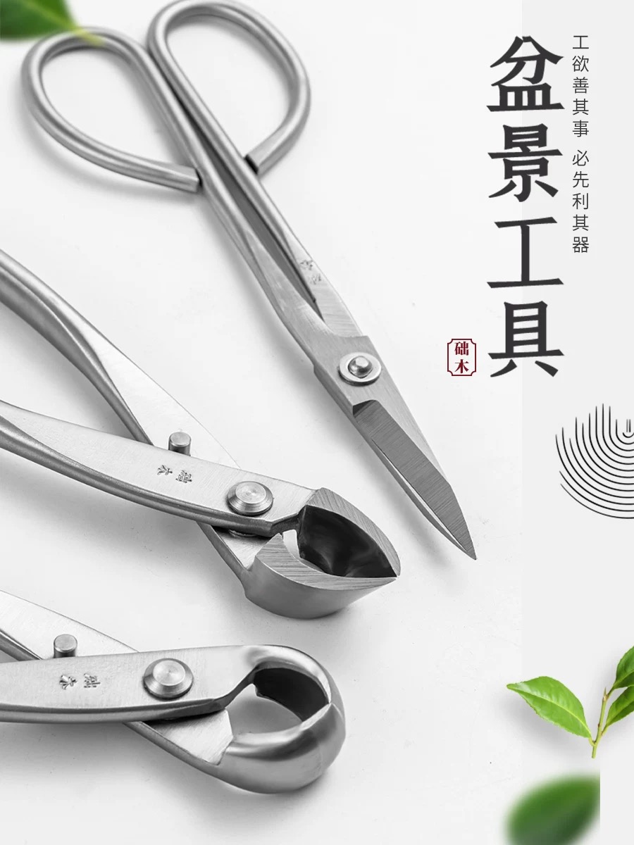 분재 도구 세트(3개) 가지치기 가위, 손잡이형 가위, - Bonsai Tool Set 리뷰 및 가격