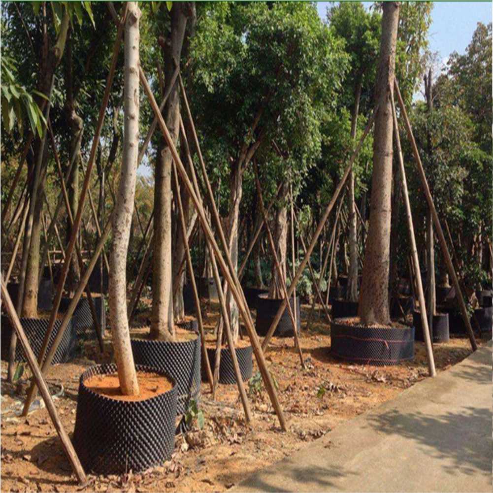 재배용 컨테이너 정원 나무 분재 이식 도구 빠른 묘목  - Bonsai Tool Set 리뷰 및 가격