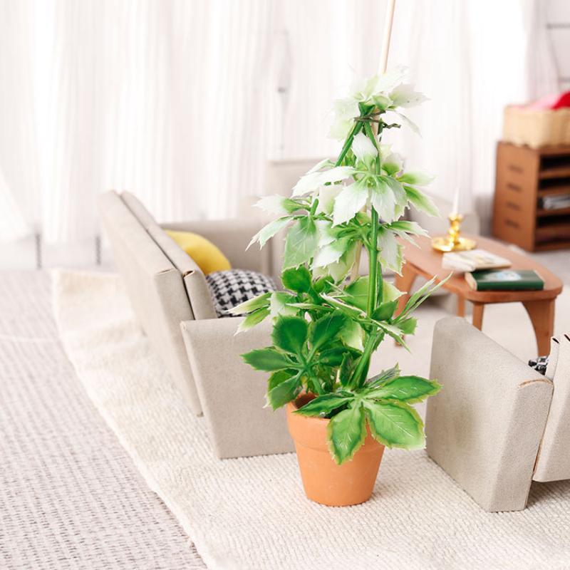 1/12 인형집 시뮬레이션 녹색 식물 분재 모델 인형집 - Us Bonsai Garden 리뷰 및 가격