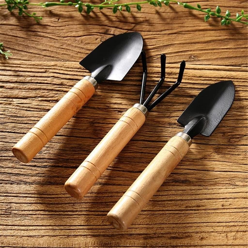 3팩 정원용 삽, 갈퀴, 삽, 분재 도구 세트, 나무  - Bonsai Tool Set 리뷰 및 가격