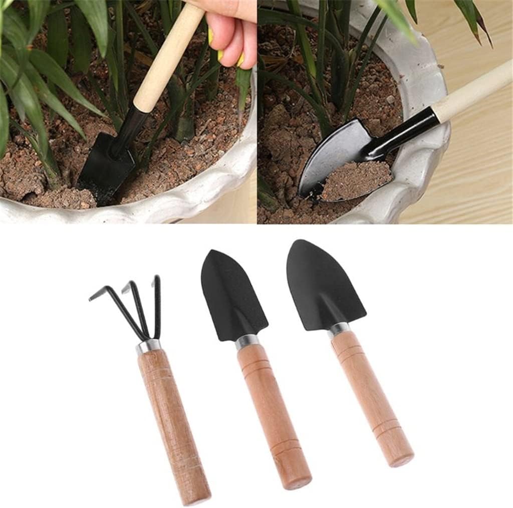 3팩 정원용 삽, 갈퀴, 삽, 분재 도구 세트, 나무  - Bonsai Tool Set 리뷰 및 가격