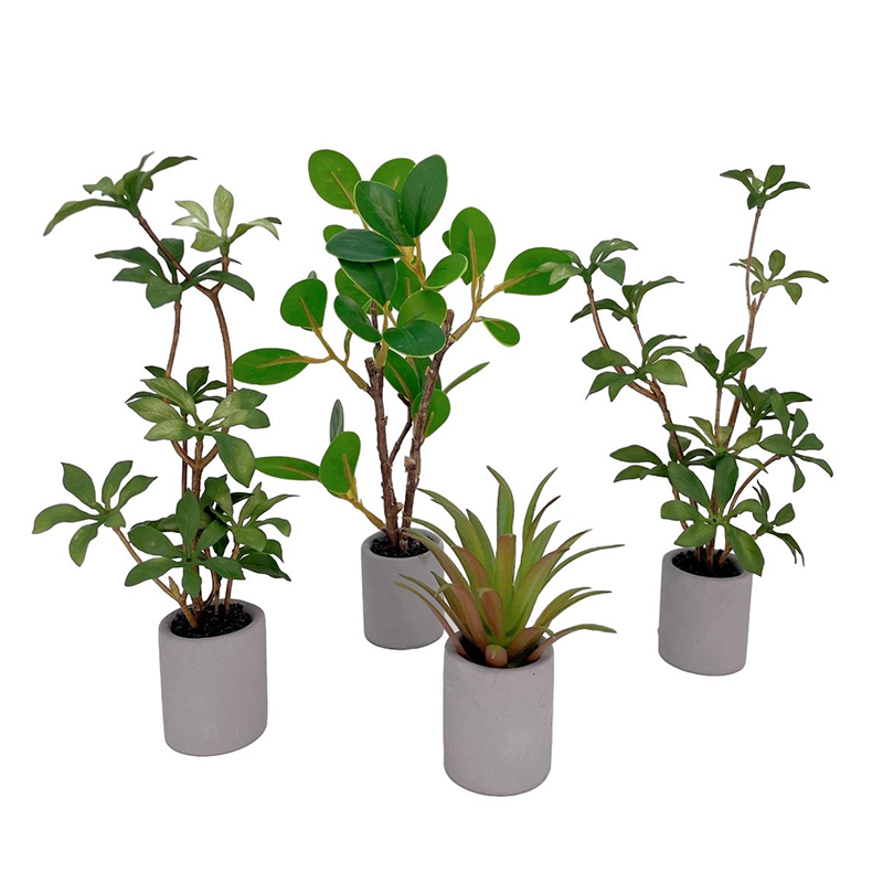 1:6 인형의 집 미니어처 화분, 녹색 잎 식물, 분재 - Bonsai Garden Accessories 리뷰 및 가격