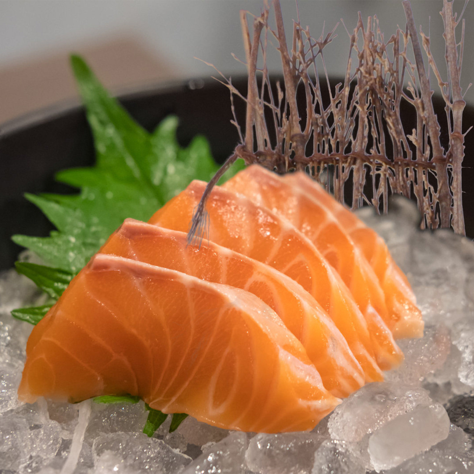 6개입 마이크로 대나무 펜스 매트 수제 미니 분재 장식 - Bonsai Garden Sushi 리뷰 및 가격
