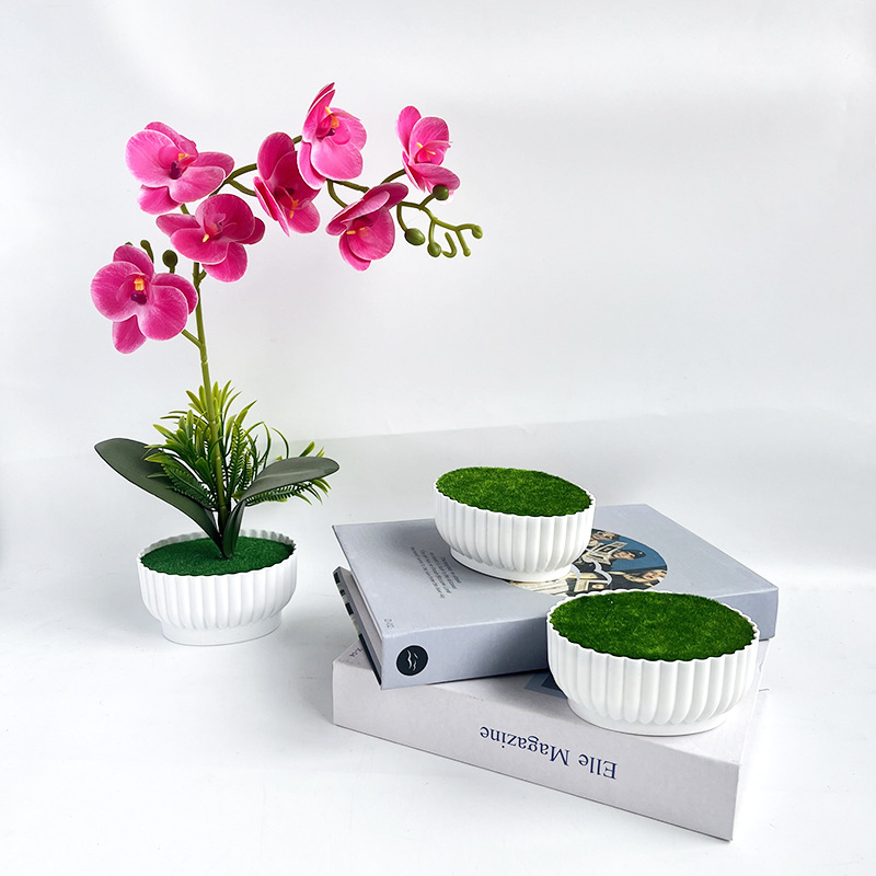 시뮬레이션된 화분 부식방지 사출 성형 공정, 호텔 쇼핑 - Bonsai Garden Shop 리뷰 및 가격