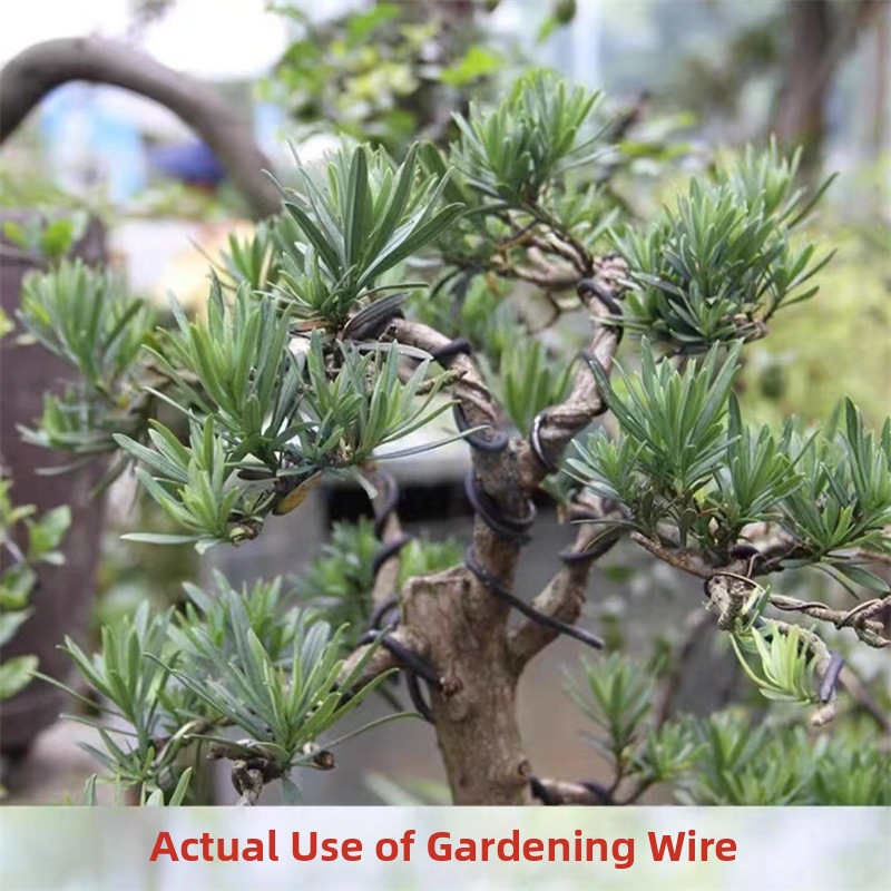 1.5MM 분재 와이어 알루미늄 분재 훈련용 와이어 모 - Us Bonsai Garden 리뷰 및 가격