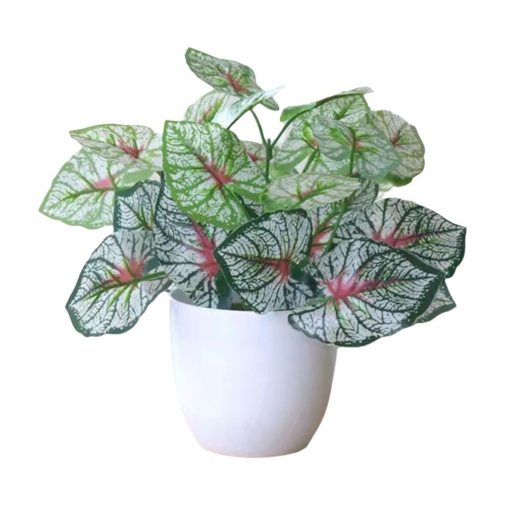 미니 가짜 화분 꽃 분재 테이블 장식 화분 장식품 가짜 - Bonsai Garden Accessories 리뷰 및 가격