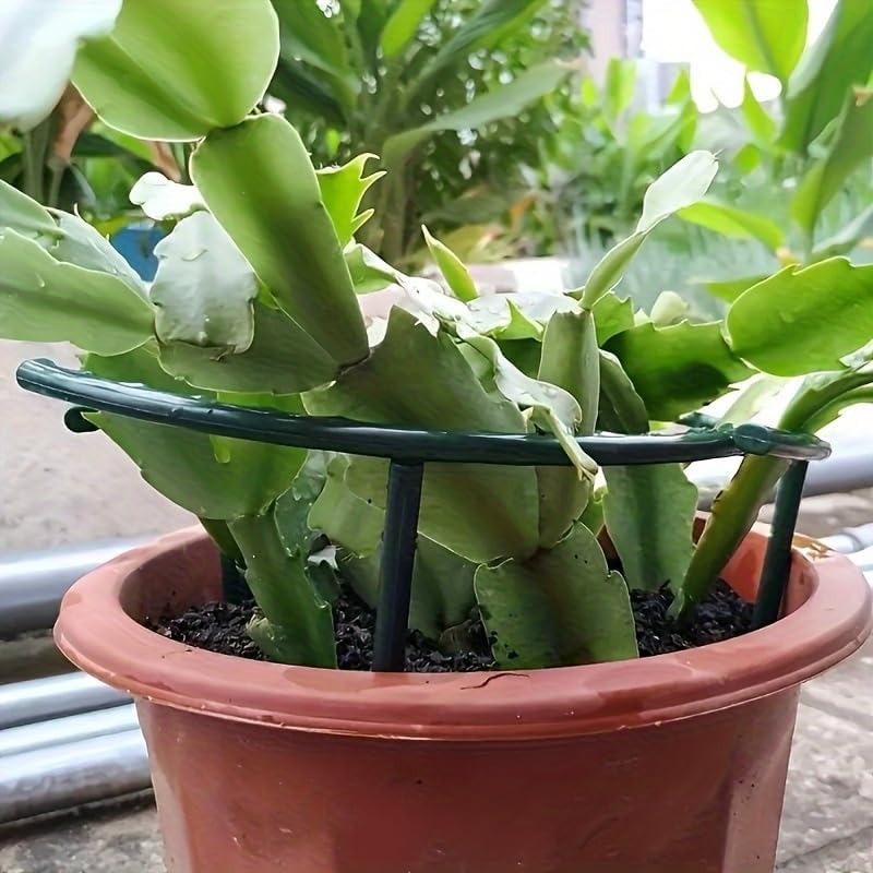 30-1개 플라스틱 식물 지지대 반원형 말뚝 프레임 고 - Bonsai Garden Accessories 리뷰 및 가격