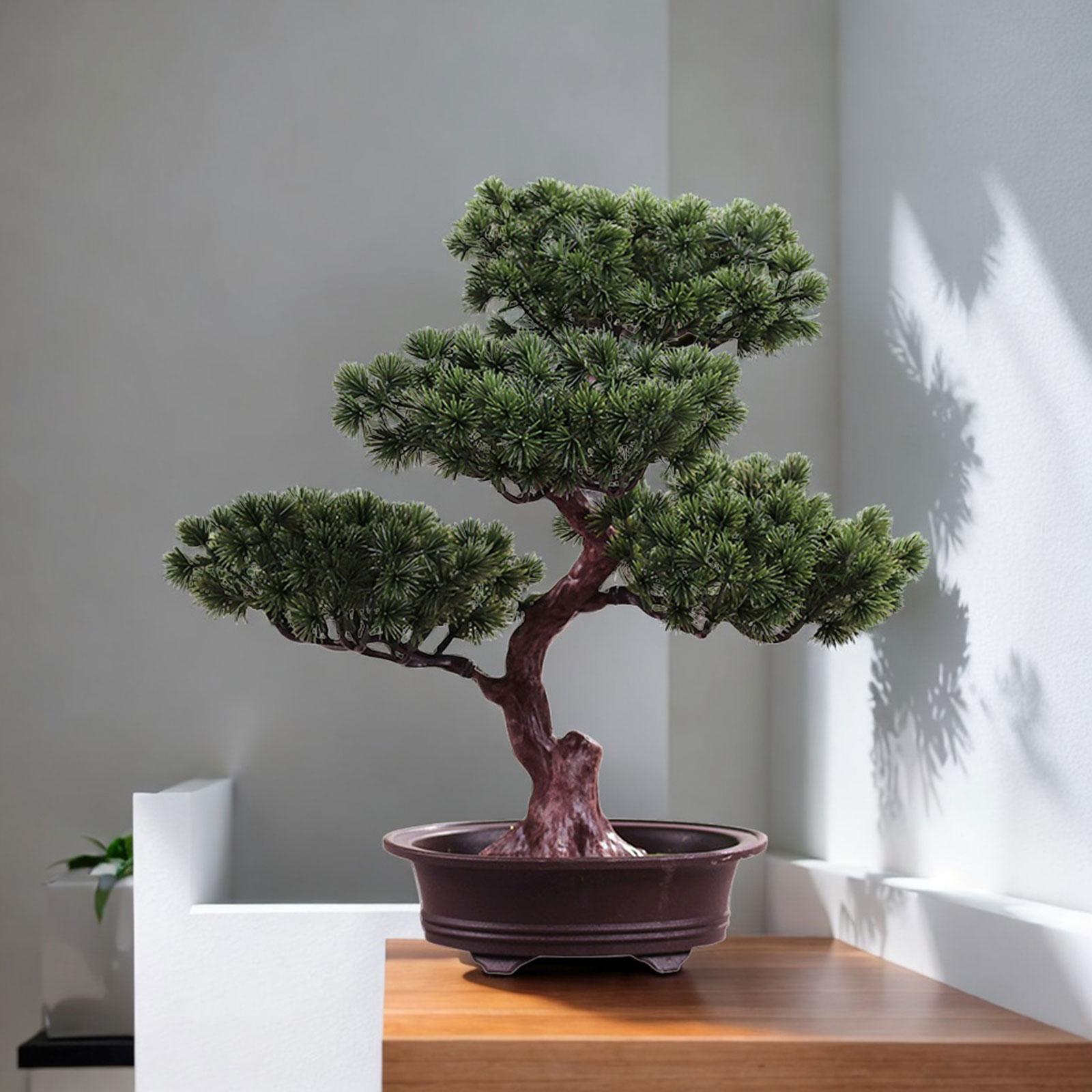 인공 분재 가짜 나무 화분 녹지 장식 데스크탑 디스플레 - Bonsai Garden Sushi 리뷰 및 가격