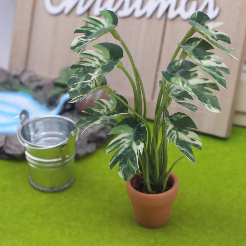 New.1PC 1/12 인형 집 시뮬레이션 몬스테라 녹 - Us Bonsai Garden 리뷰 및 가격