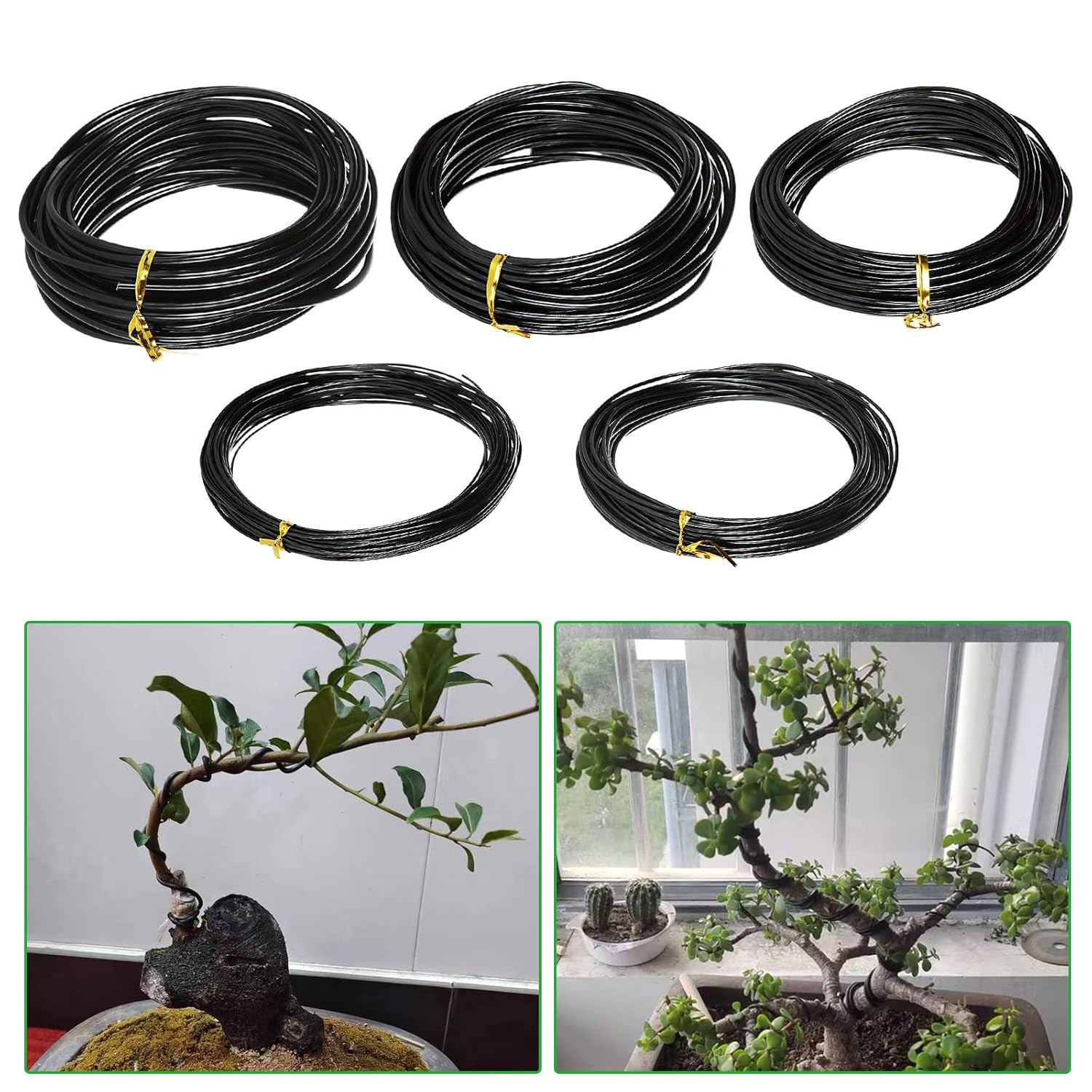 분재 와이어 식물 지지대 아노다이징 알루미늄 분재 훈련 - Bonsai Garden Accessories 리뷰 및 가격